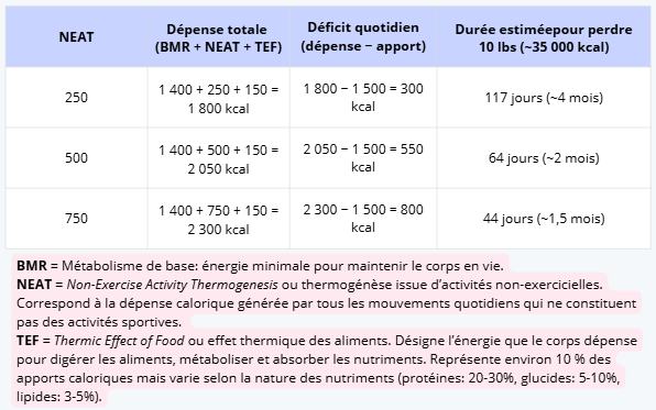 Tableau montrant différents scénarios quotidiens de NEAT, c'est-à-dire le nombre de calories perdues au cours d'activités non sportives (dépenses caloriques non sportives). Ce tableau sert à illustrer comment, en mangeant plus que notre métabolisme de base, pour ne pas laisser glisser notre corps en mode économie, on peut compter sur le NEAT pour brûler des calories et perdre du poids efficacement