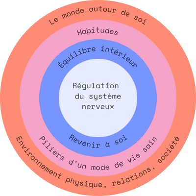 systeme-nerveux-regulation